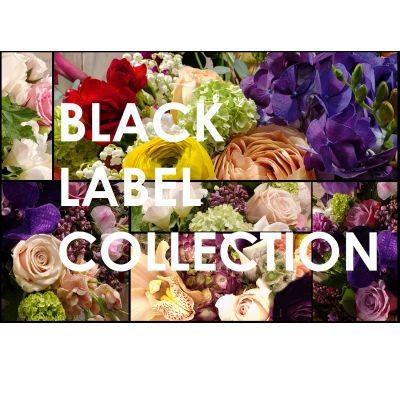 Beaverton Florists Beaverton - Give our designers the opportunity to surprise you.

Tell us what colors of flowers you would like, or if you prefer a clear vase, a cement pedestal or some unique mercury vase, and let us do what we do best: Designing!

Our black label collection has a Designer's Choice option starting at $125 which permits our fantastic crew to "play" with high end products like garden roses, peonies or proteas.

 

     