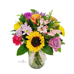Beaverton Florists Beaverton - A vase full of bright colors for a happiness splash.
* Seasonal bright colors. ** If sunflowers are not available, they will be substituted for another bright flower, thank you for your understanding.



