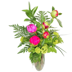Beaverton Florists Beaverton - Peonies have arrived and we have a locally grown 5 peony bouquet!

Local delivery ONLY!

Mixed colors ONLY!

Note: there are 5 stems of Peonies.